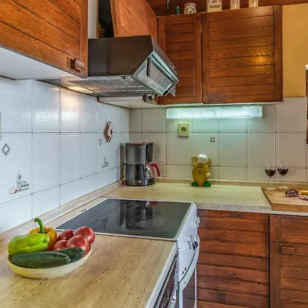 Lorencin Milka Apartment Medulin